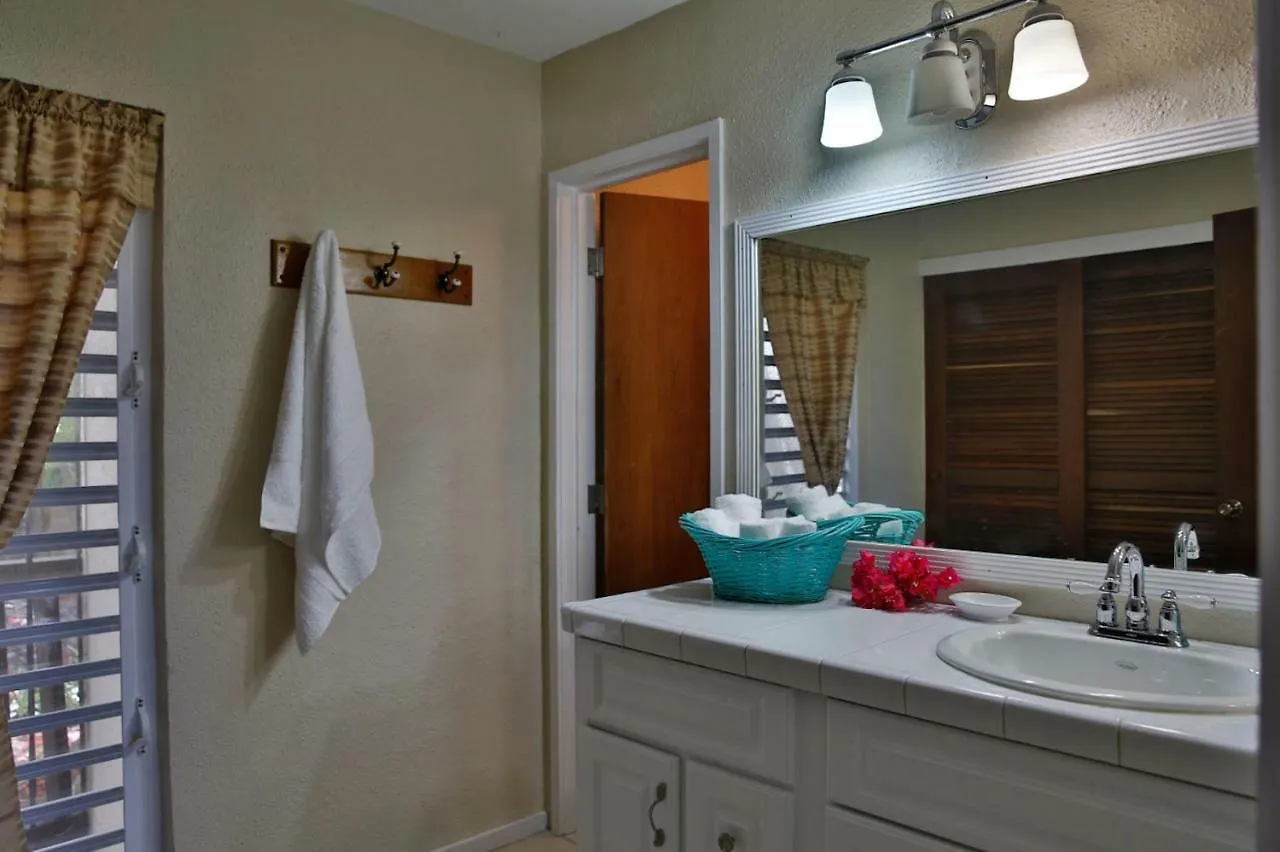 Palm Breeze Villa Nazareth